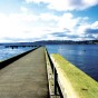 On The Shores of Lake Washington: Kirkland, WA